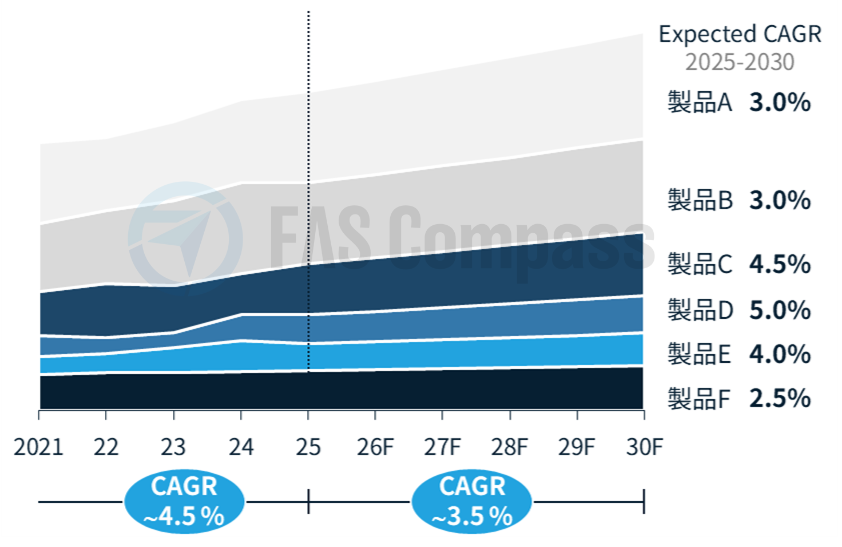 Market Size Forecast